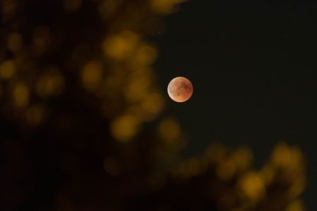 Blutmond Juli2018-1