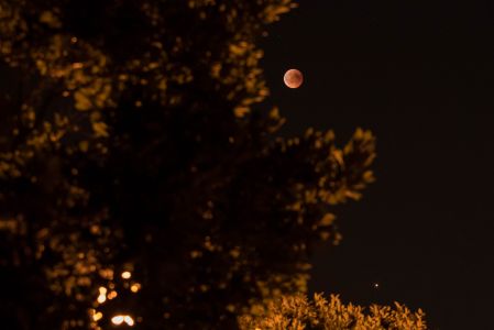 Blutmond Juli2018-2