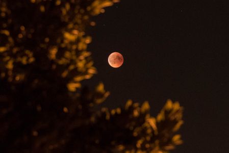 Blutmond Juli2018-3