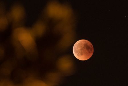 Blutmond Juli2018-4