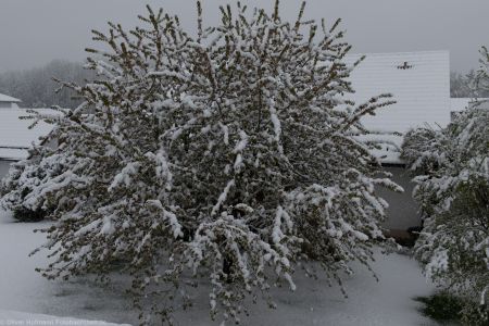 Fruehlingserwachen2017 Schnee-1