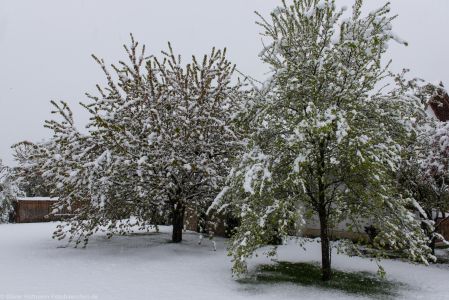 Fruehlingserwachen2017 Schnee-12