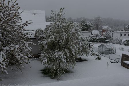 Fruehlingserwachen2017 Schnee-2