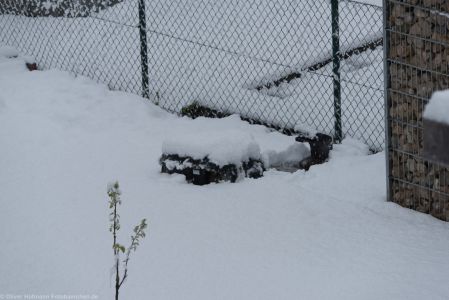 Fruehlingserwachen2017 Schnee-3